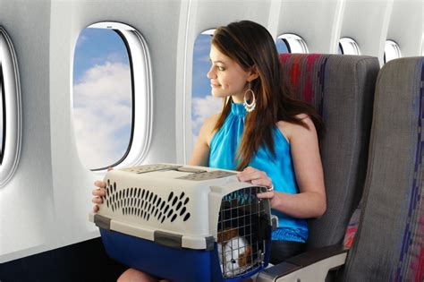 latam airlines pet travel.